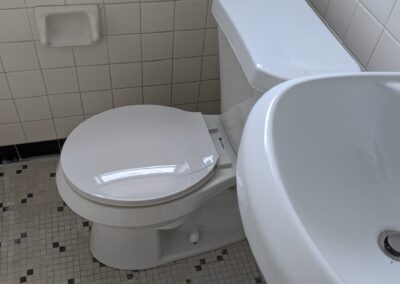 new toilet installed in old bathroom
