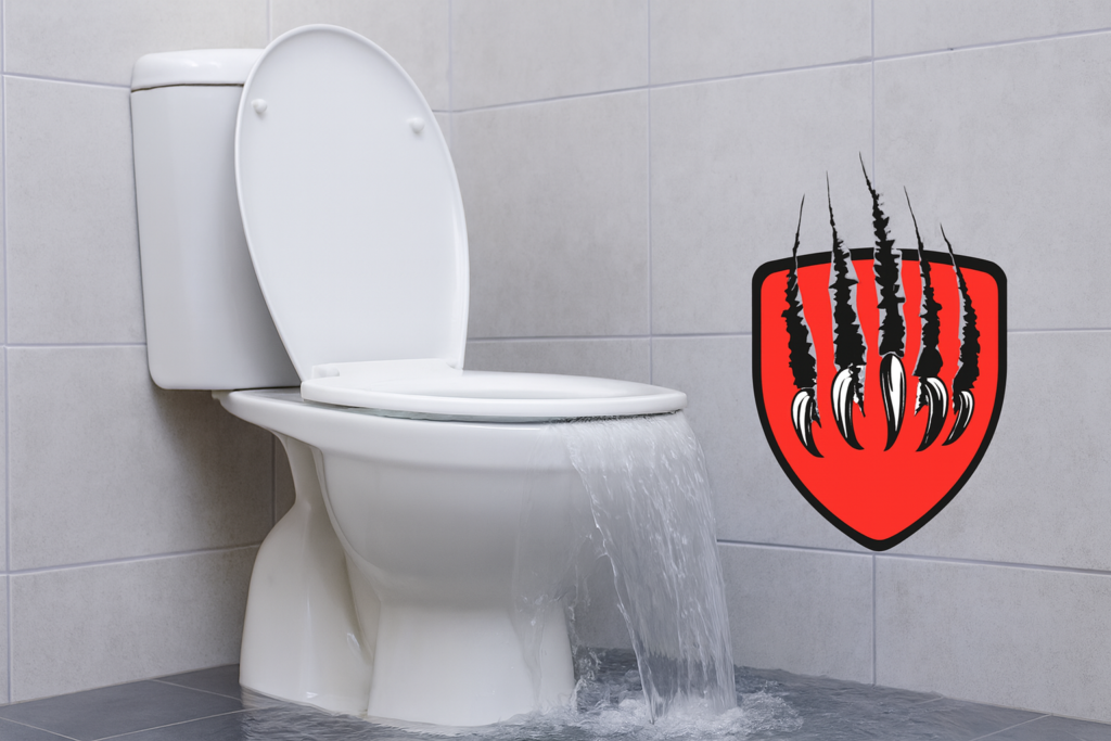 Overflowing toilet in Chalmette home with Beasty Plumbing logo on the wall