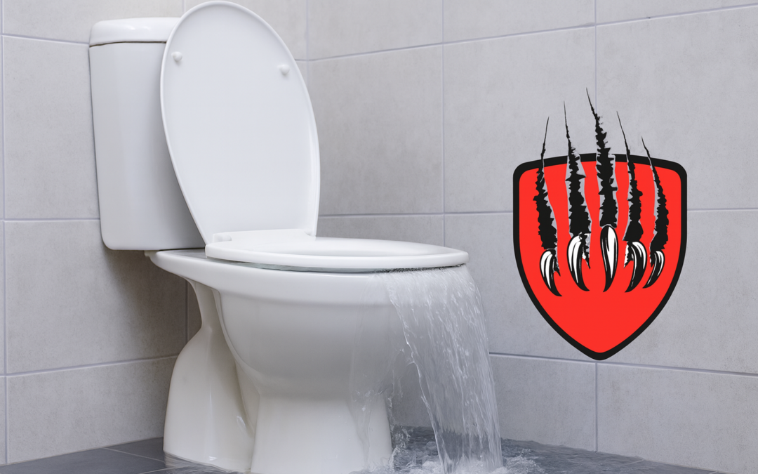 How to Unclog a Drain in Chalmette | DIY Tips & When to Call Beasty Plumbing